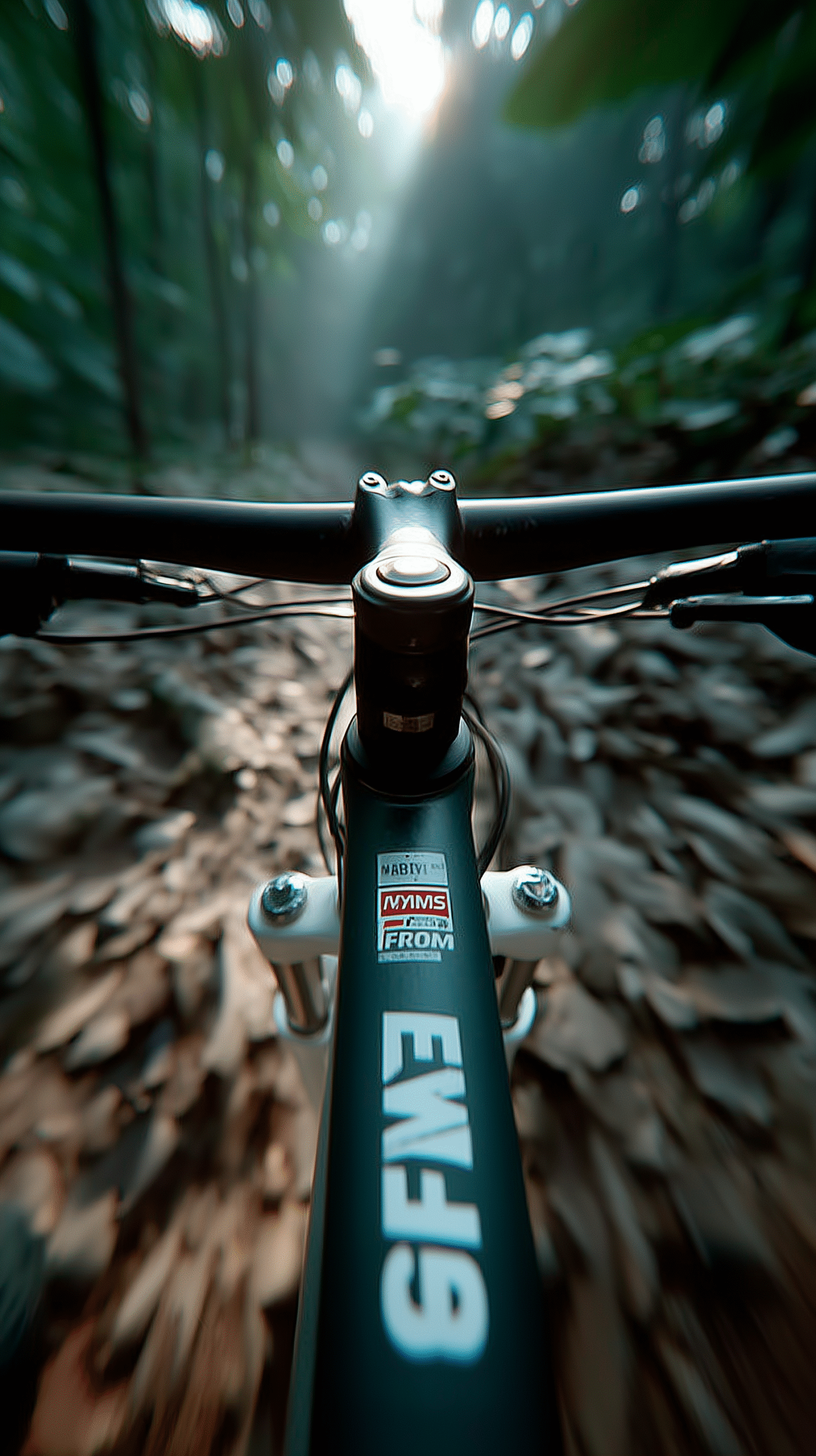 u4466492111_POV_of_a_woman_riding_a_black_sports_bicycle_on_a_f_1e1eaa41-8799-4472-a53b-28b67c109e71